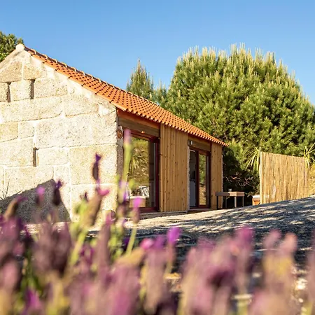 Alojamento de Turismo Rural Peso Village Amarante